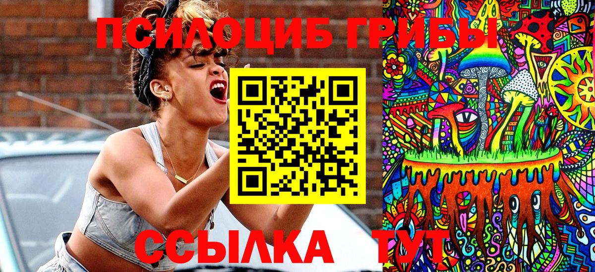 Псилоцибиновые грибы Psilocybe Свободный