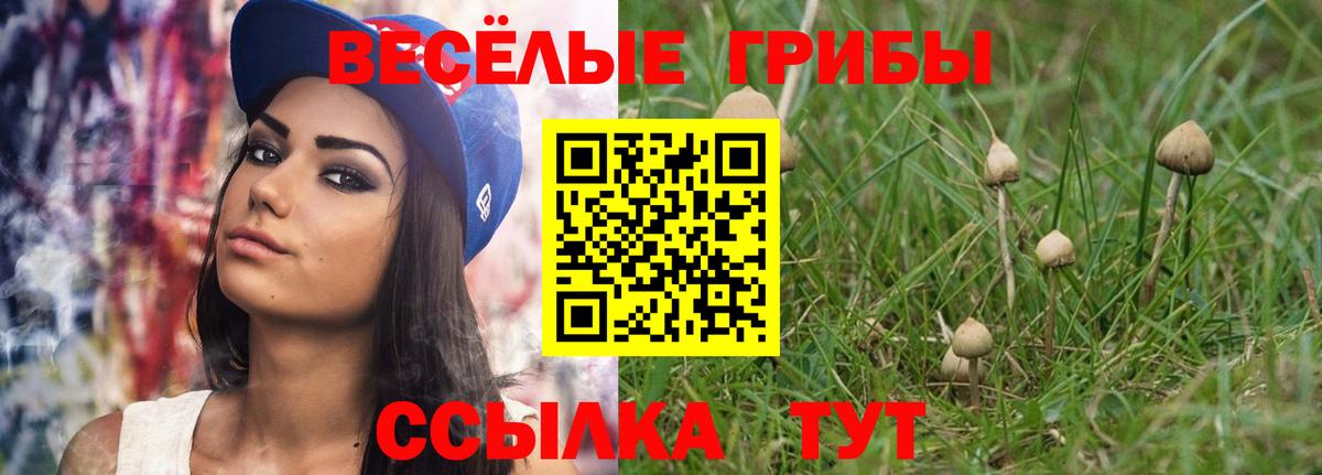 Свободный  Псилоцибиновые грибы мицелий  Галлюциногенные грибы прущие грибы  наркотики  Вход с VPN 