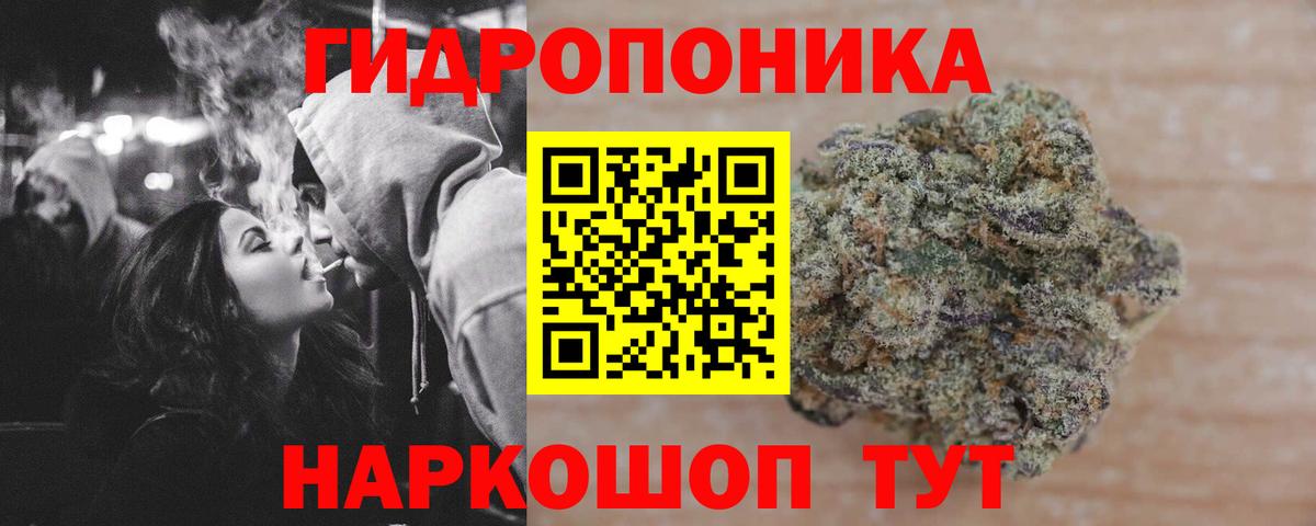 Свободный  МАРИХУАНА план  Конопля марихуана  Бошки Шишки марихуана  Марихуана OG Kush  Вход с VPN 